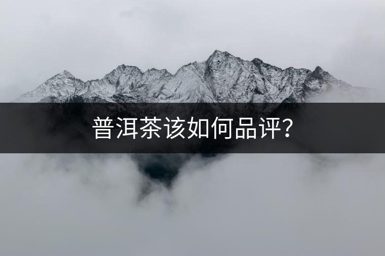 普洱茶該如何品評(píng)？