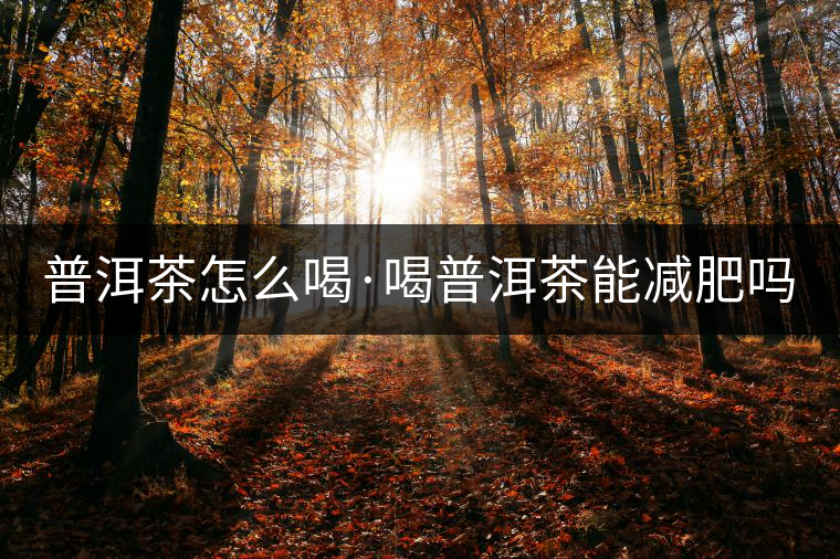 普洱茶怎么喝·喝普洱茶能減肥嗎？