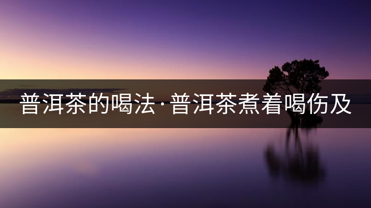 普洱茶的喝法·普洱茶煮著喝傷及脾胃 普洱茶的喝法·普洱茶煮著喝傷及脾胃