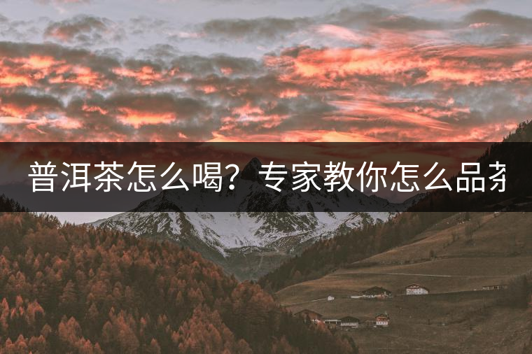 普洱茶怎么喝？專家教你怎么品茶？