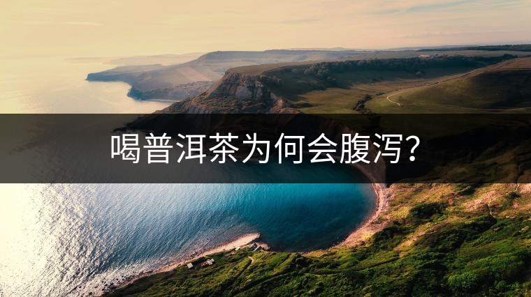 喝普洱茶為何會(huì)腹瀉？