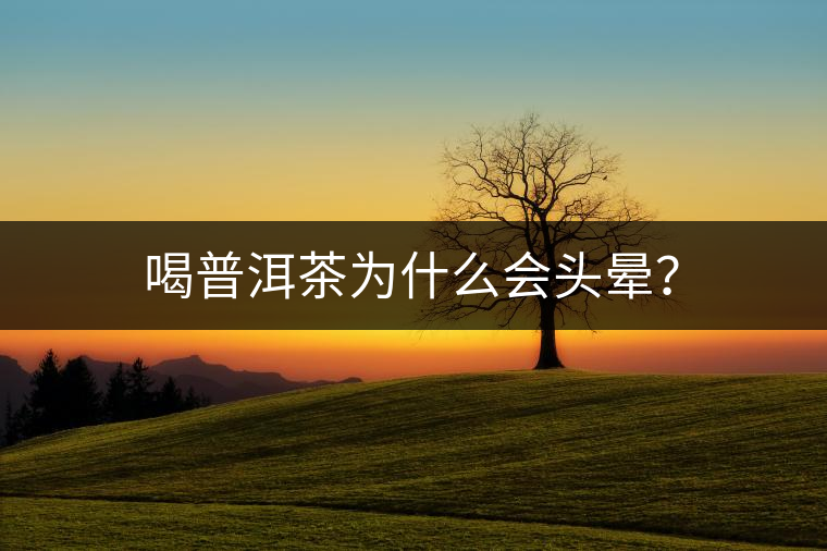 喝普洱茶為什么會(huì)頭暈? 喝普洱茶為什么會(huì)頭暈?