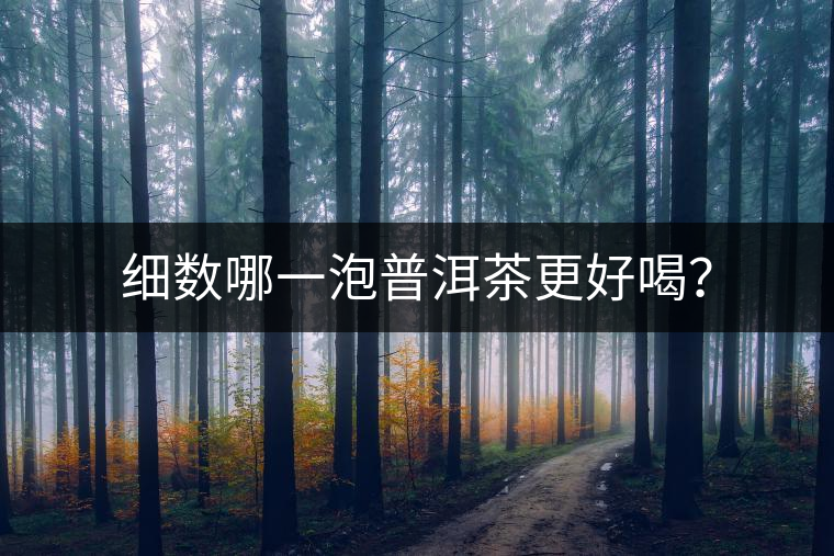 細(xì)數(shù)哪一泡普洱茶更好喝？