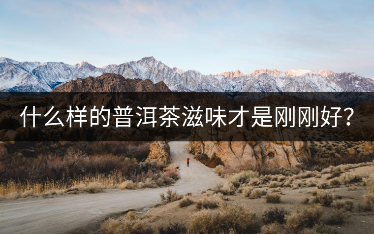 什么樣的普洱茶滋味才是剛剛好？