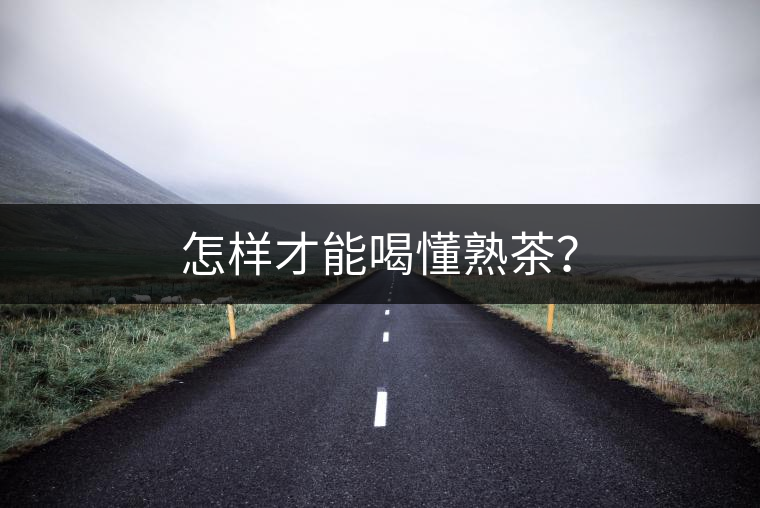 怎樣才能喝懂熟茶？