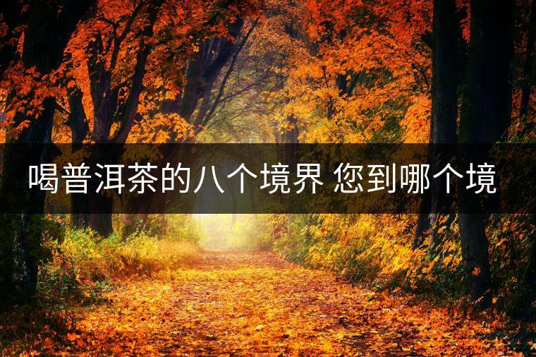 喝普洱茶的八個(gè)境界 您到哪個(gè)境界了？