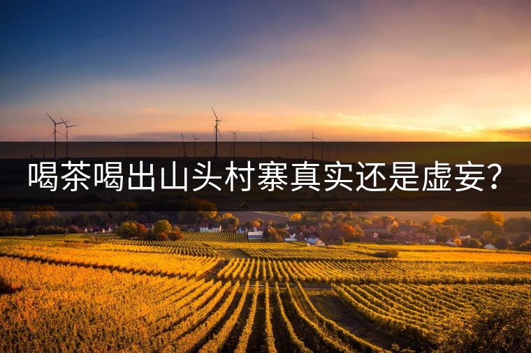 喝茶喝出山頭村寨真實還是虛妄？
