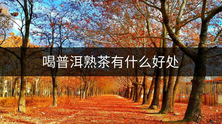 喝普洱熟茶有什么好處