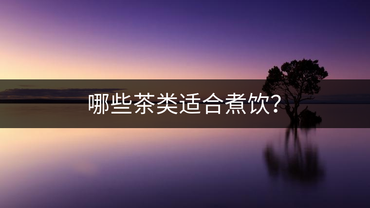 哪些茶類適合煮飲？