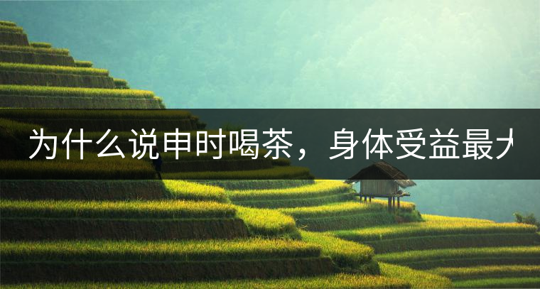 為什么說申時(shí)喝茶，身體受益最大？