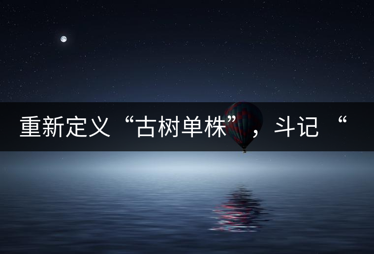 重新定義“古樹單株”，斗記 “超級審評”有償招募告罄在即！