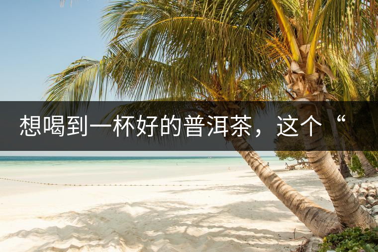 想喝到一杯好的普洱茶，這個“醒茶”步驟很關(guān)鍵