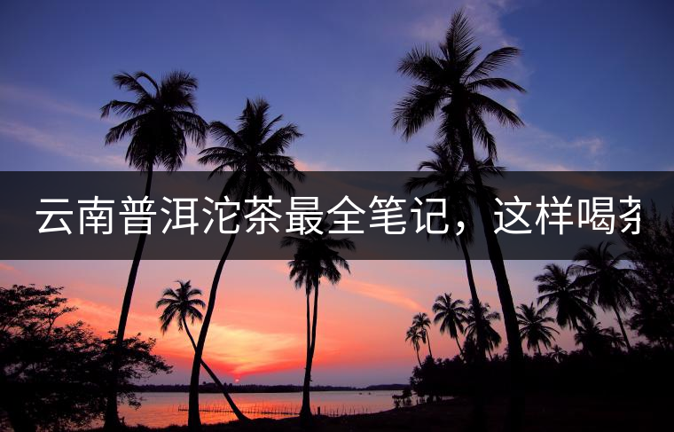 云南普洱沱茶最全筆記，這樣喝茶才更健康！