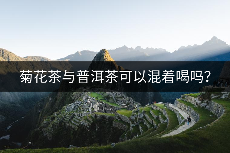 菊花茶與普洱茶可以混著喝嗎？