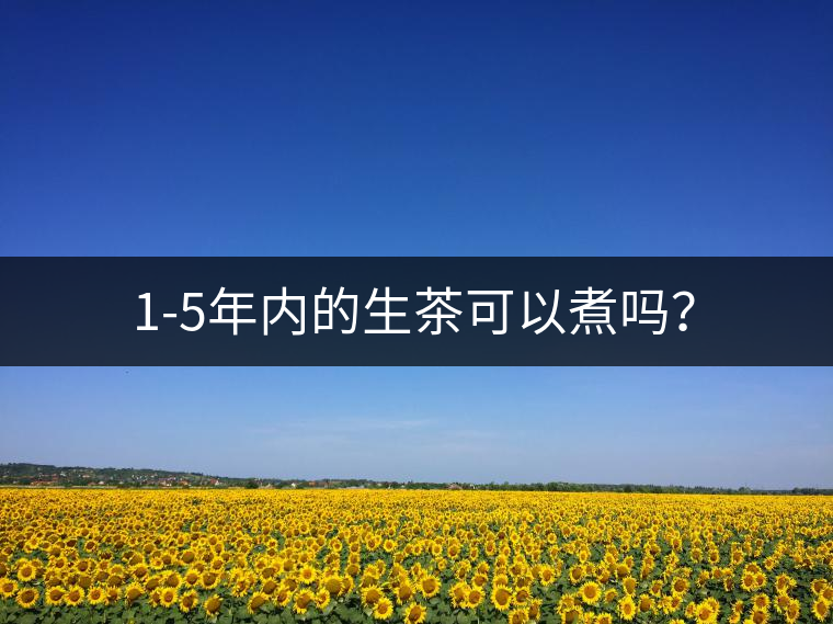 1-5年內(nèi)的生茶可以煮嗎？