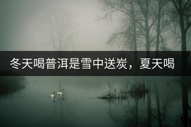 冬天喝普洱是雪中送炭，夏天喝就是火上澆油了？