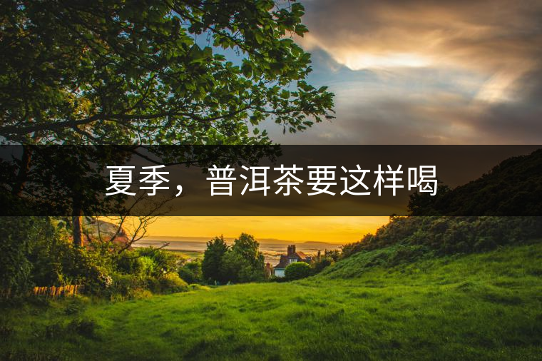 夏季，普洱茶要這樣喝