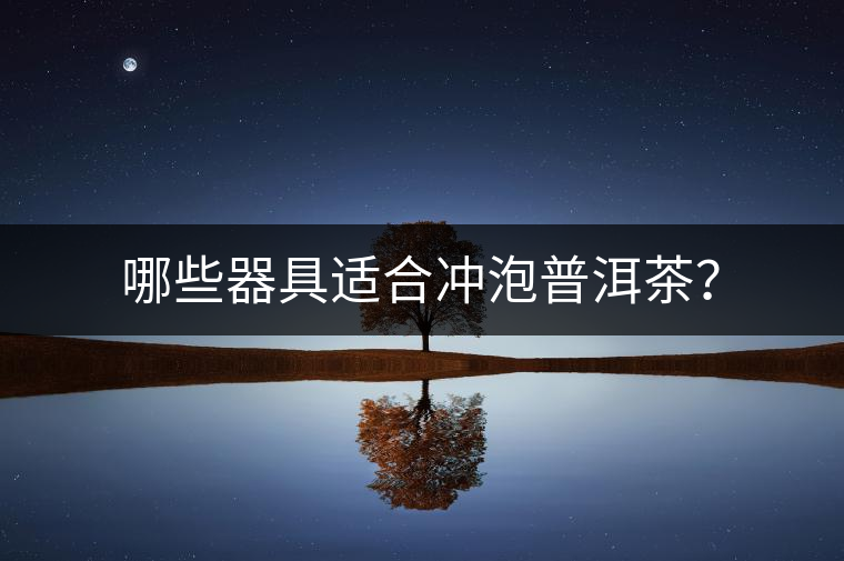 哪些器具適合沖泡普洱茶？