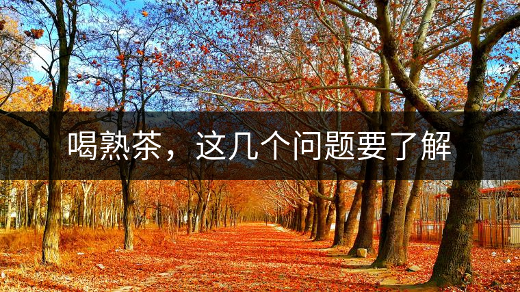 喝熟茶，這幾個(gè)問題要了解