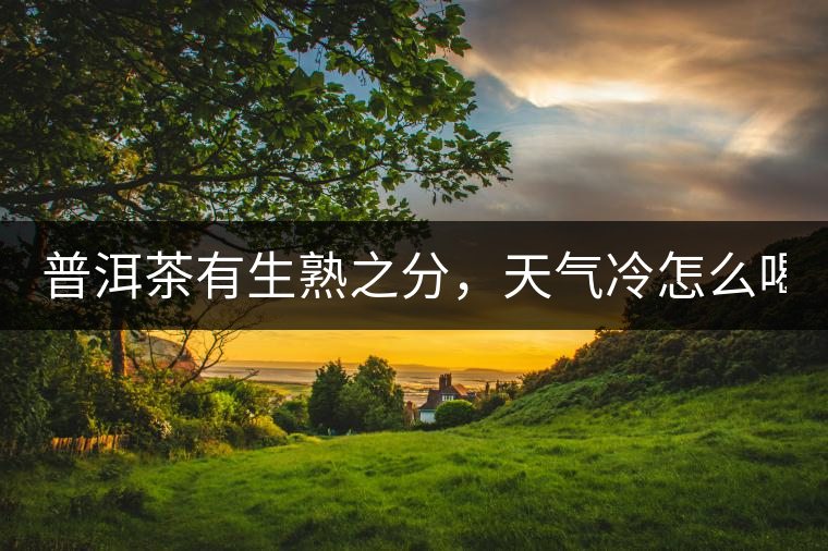 普洱茶有生熟之分，天氣冷怎么喝？