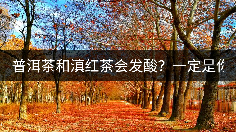 普洱茶和滇紅茶會發(fā)酸？一定是你這么做了！