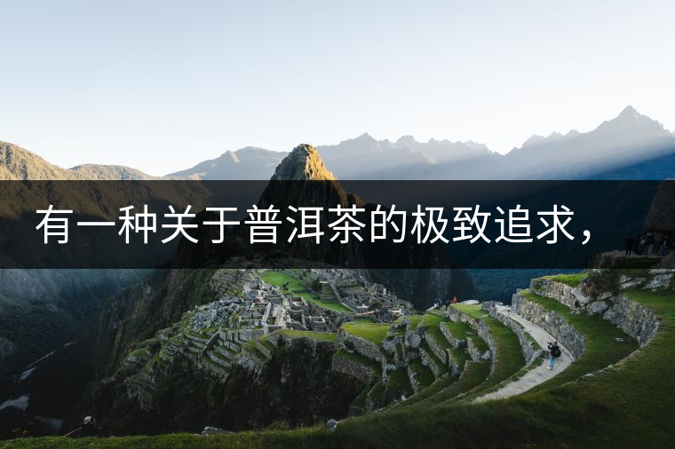 有一種關(guān)于普洱茶的極致追求， 當屬于鴻中鴻