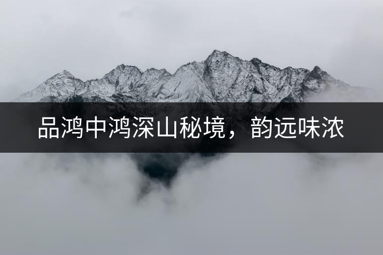 品鴻中鴻深山秘境，韻遠味濃