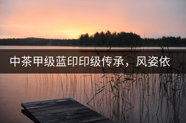 中茶甲級(jí)藍(lán)印印級(jí)傳承，風(fēng)姿依舊