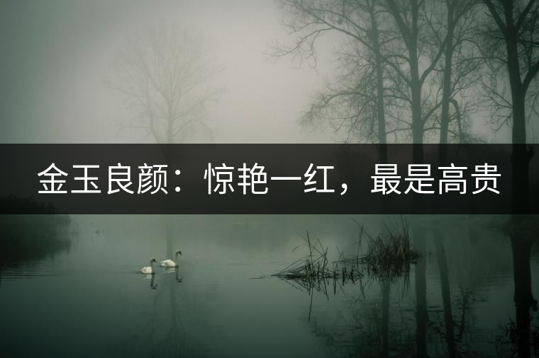 金玉良顏：驚艷一紅，最是高貴