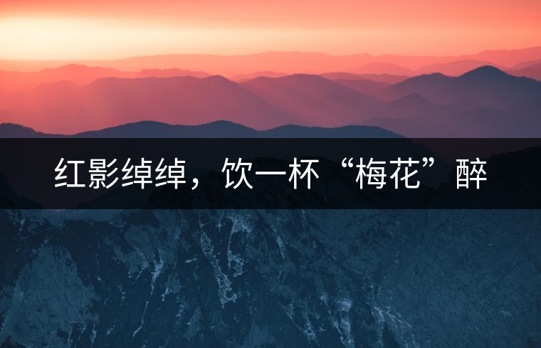 紅影綽綽，飲一杯“梅花”醉