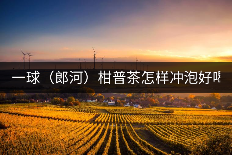 一球（郎河）柑普茶怎樣沖泡好喝？