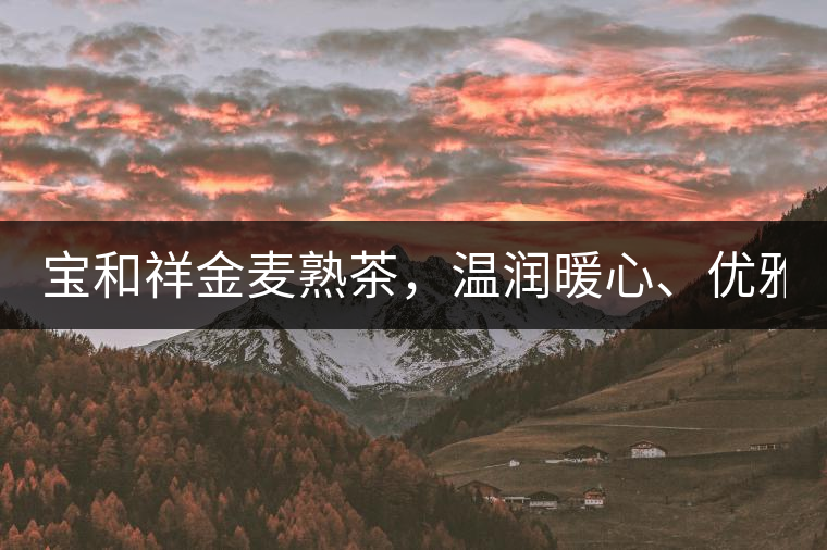 寶和祥金麥熟茶，溫潤暖心、優(yōu)雅迷人。