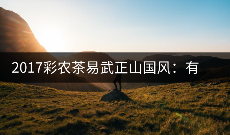 2017彩農(nóng)茶易武正山國(guó)風(fēng)：有茶韻，亦有國(guó)風(fēng)
