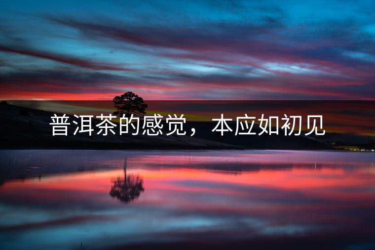 普洱茶的感覺，本應如初見