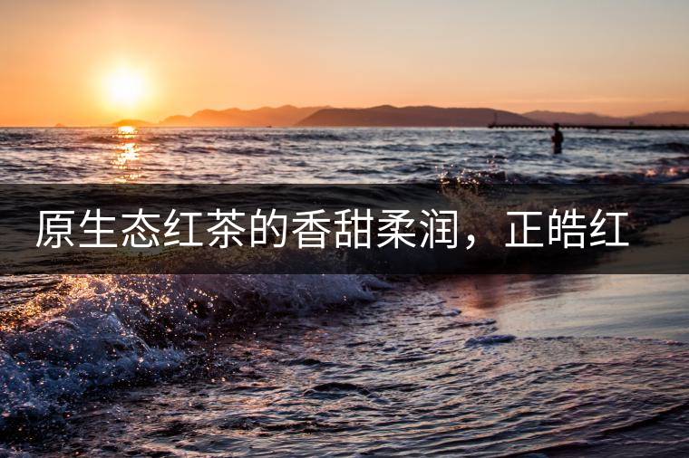 原生態(tài)紅茶的香甜柔潤，正皓紅的魅力無可抵擋！