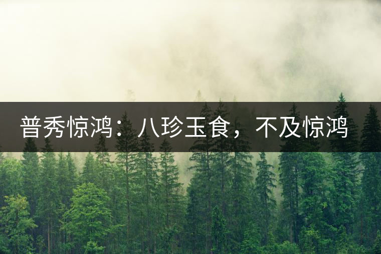 普秀驚鴻：八珍玉食，不及驚鴻一湯