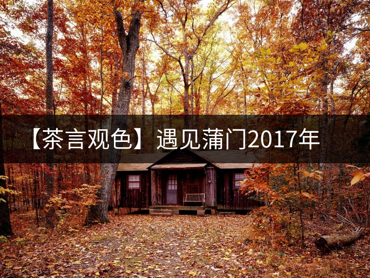 【茶言觀色】遇見蒲門2017年茗門一級工夫紅茶