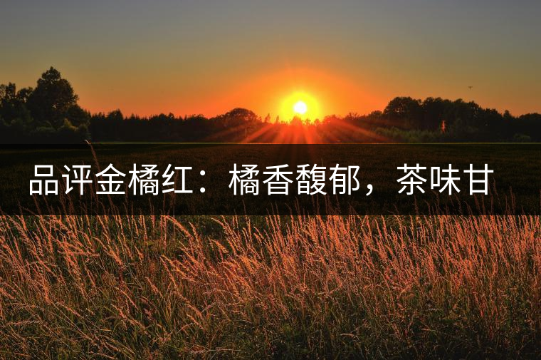 品評金橘紅：橘香馥郁，茶味甘醇，匠心拼配，臻于至善