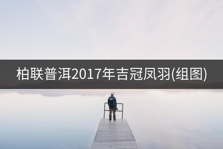 柏聯(lián)普洱2017年吉冠鳳羽(組圖) 柏聯(lián)普洱2017年吉冠鳳羽(組圖)