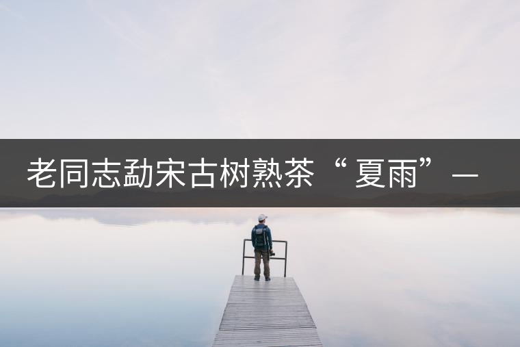 老同志勐宋古樹(shù)熟茶“ 夏雨”— 飲茶伴夏，只為您！