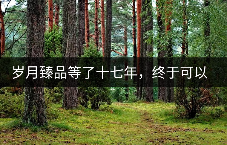 歲月臻品等了十七年，終于可以品味歲月