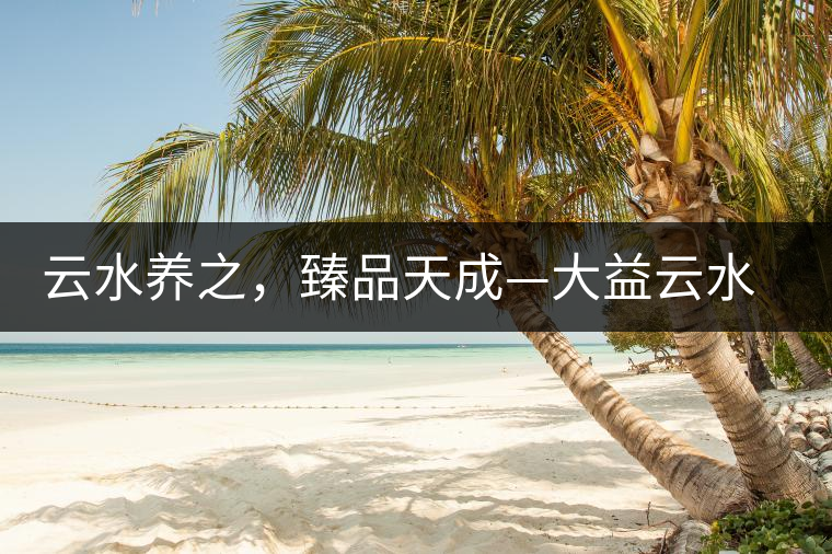 云水養(yǎng)之，臻品天成—大益云水臻開湯