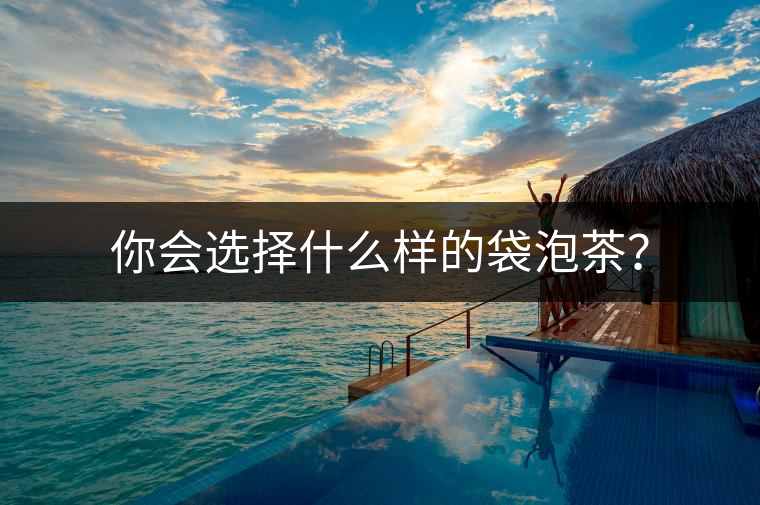 你會(huì)選擇什么樣的袋泡茶？