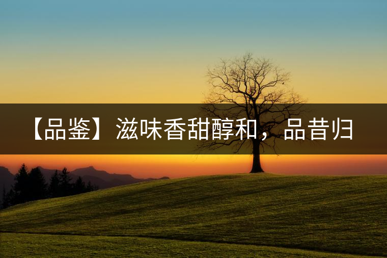 【品鑒】滋味香甜醇和，品昔歸古樹黃片