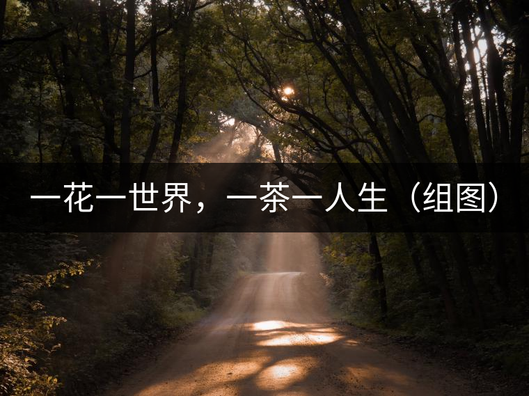 一花一世界，一茶一人生（組圖）