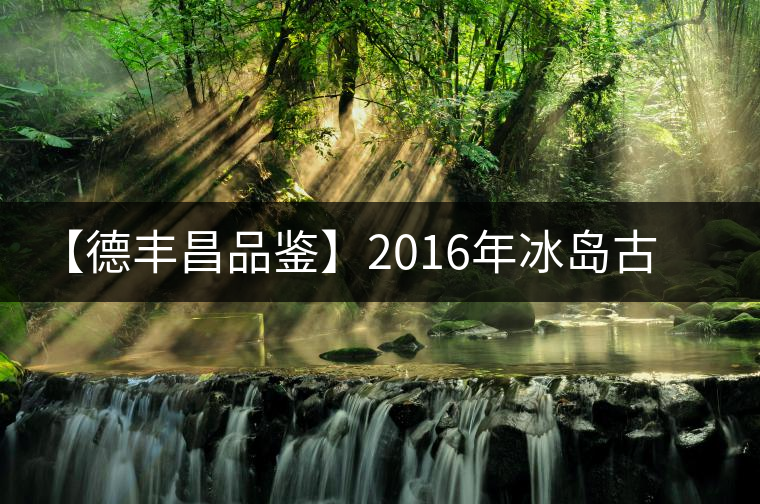 【德豐昌品鑒】2016年冰島古樹 【德豐昌品鑒】2016年冰島古樹