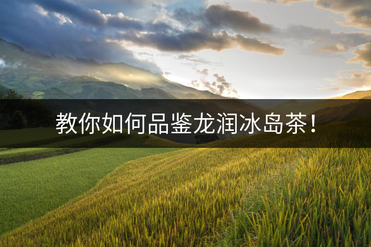 教你如何品鑒龍潤(rùn)冰島茶！