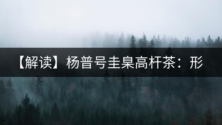 【解讀】楊普號(hào)圭臬高桿茶：形高、氣足、韻遠(yuǎn)的一款茶