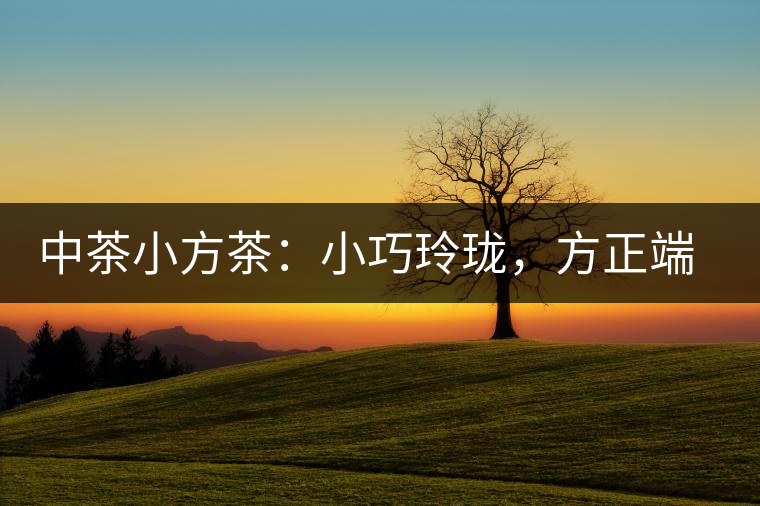 中茶小方茶：小巧玲瓏，方正端莊