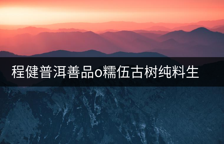 程健普洱善品o糯伍古樹(shù)純料生茶開(kāi)湯品鑒